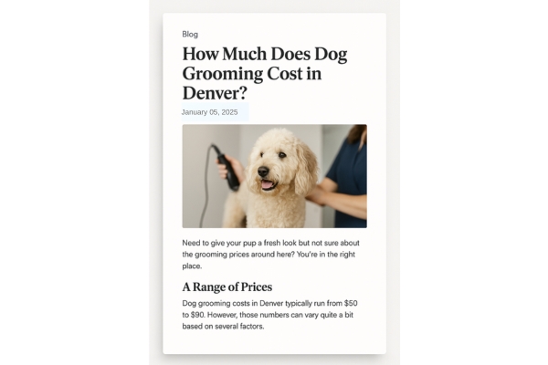 answer local questions