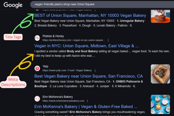 examples of title tags and meta descriptions on a google search page